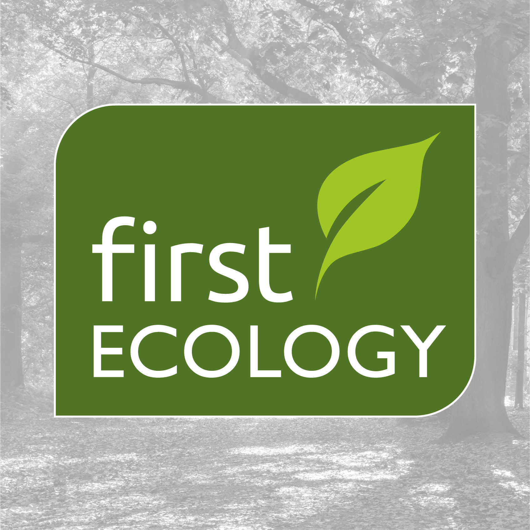 First Ecology branding